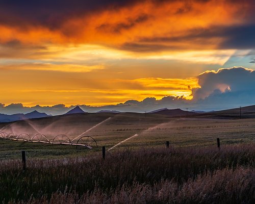 Irrigation sprinkler at sunset